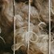 2/10 | Workshop: Hedestrik
